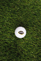 Mike's in One Golf Balls