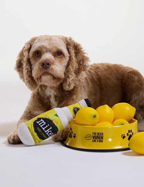 Dog Days Chew Toy – Mike's Hard Days Rewards